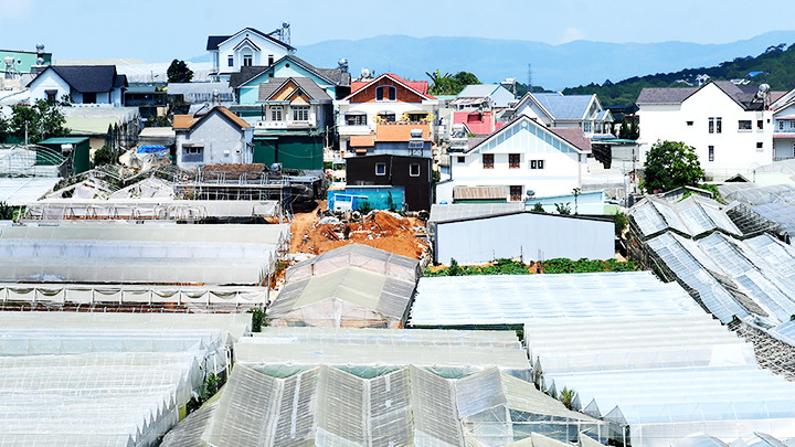 Quá trình đô thị hóa và phát triển công nghiệp trồng trọt gây ảnh hưởng xấu đến hệ sinh thái Đà Lạt. Quá trình đô thị hóa và phát triển công nghiệp trồng trọt gây ảnh hưởng xấu đến hệ sinh thái Đà Lạt.