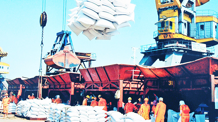 2023 là một năm thành công của ngành lúa gạo với mức xuất khẩu gạo ước đạt mức kỷ lục 8 triệu tấn. Ảnh: NGUYÊN NAM