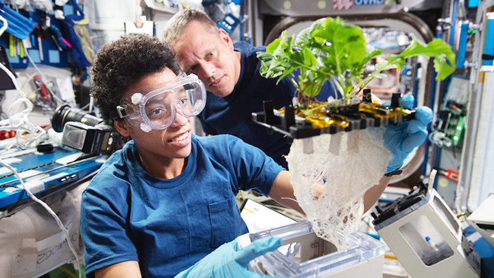 Nghiên cứu thực vật học trong không gian. Ảnh: NASA