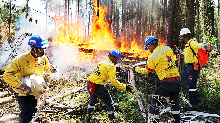 Cháy rừng làm giảm khả năng hấp thụ CO2. Ảnh: AP