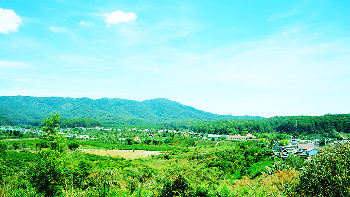 Mầu xanh trên mảnh đất chiến khu xưa Lộc Lâm.