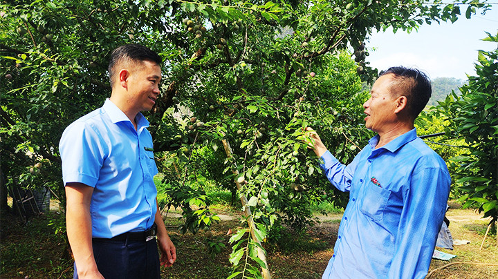Cán bộ NCF đến làm việc tại mô hình kinh doanh của ông Trần Xuân Kha (bên phải) .