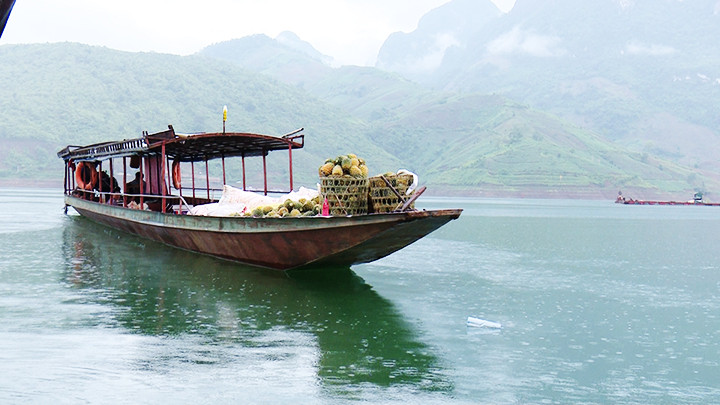 Mưu sinh trên lòng hồ thủy điện Sơn La. Ảnh: HOÀNG HÀ