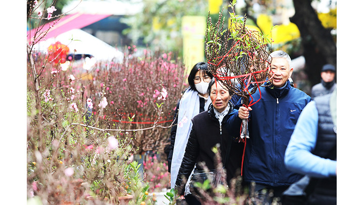 Chợ hoa Hàng Lược luôn là điểm đến ưa thích của người dân Thủ đô.