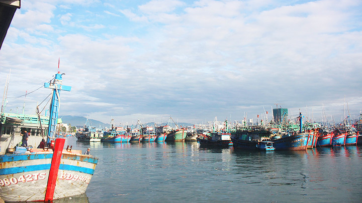 Các tàu vào vạch xuất phát chuẩn bị cho chuyến vươn khơi đầu năm mới 2023.