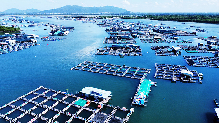 Bè nuôi trồng thủy sản.