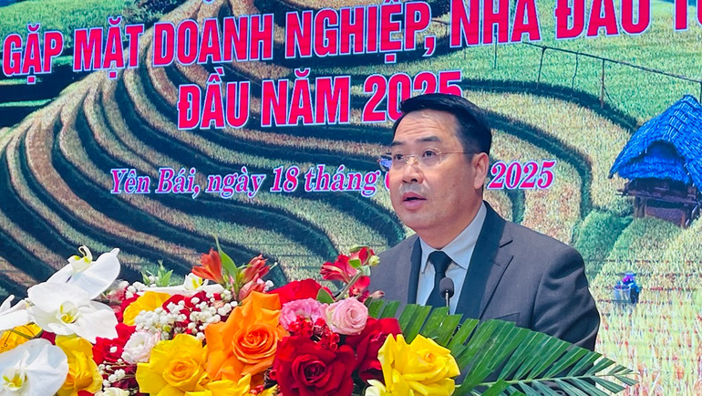 Chủ tịch Nguyễn Tuấn Anh phát biểu tại hội nghị. (Ảnh: THANH SƠN)