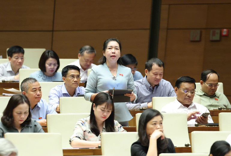 Phát biểu tại phiên họp, đại biểu Lý Tiết Hạnh (đoàn Bình Định) tỏ ra băn khoăn về khái niệm đô thị, nông thôn. (Ảnh: DUY LINH) Phát biểu tại phiên họp, đại biểu Lý Tiết Hạnh (đoàn Bình Định) tỏ ra băn khoăn về khái niệm đô thị, nông thôn. (Ảnh: DUY LINH)