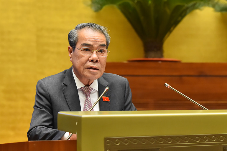 Trưởng Ban Dân nguyện Dương Thanh Bình trình bày Báo cáo.