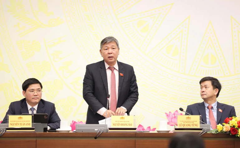 Phó Chủ nhiệm Ủy ban Xã hội Nguyễn Hoàng Mai. (Ảnh: DUY LINH)