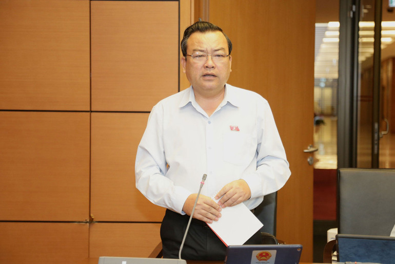 Đại biểu Phạm Hùng Thái phát biểu.