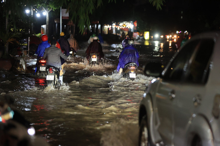 Ảnh: Nguyễn Hoài.