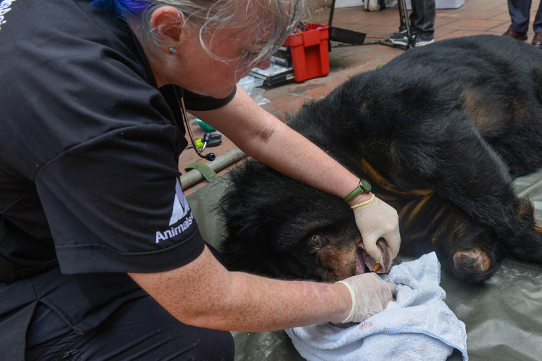 Ảnh: Thế Đại.