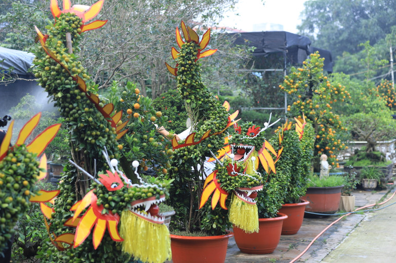 Cặp rồng vừa phải bảo đảm đẹp về dáng, lại có thêm lộc, quả và hoa đan xen, tượng trưng cho may mắn và thịnh vượng.