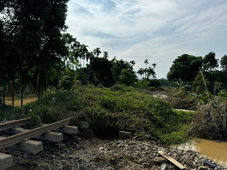 Trên các tuyến đường sắt có nhiều vị trí cây đổ, gây ảnh hưởng tới việc lưu thông tàu. Trên các tuyến đường sắt có nhiều vị trí cây đổ, gây ảnh hưởng tới việc lưu thông tàu.