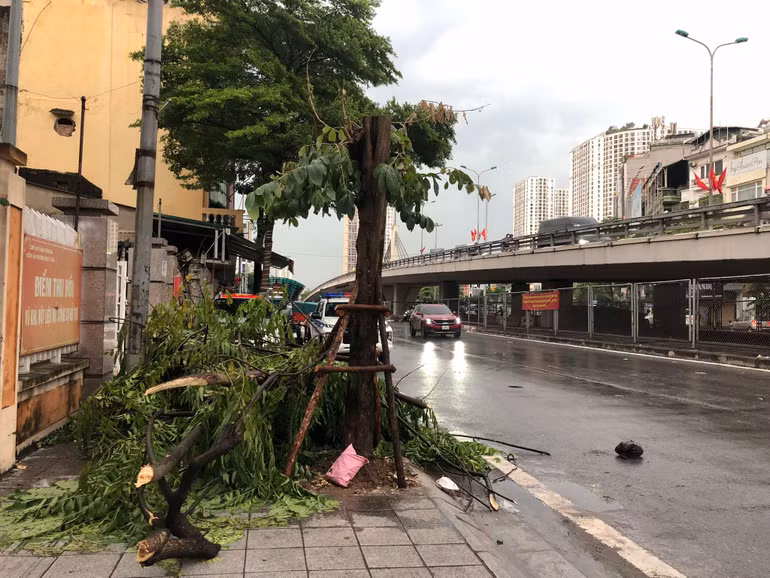 Mưa lớn kèm theo gió giật mạnh khiến nhiều cây lớn tại Hà Nội bị gãy đổ hàng loạt. Mưa lớn kèm theo gió giật mạnh khiến nhiều cây lớn tại Hà Nội bị gãy đổ hàng loạt.