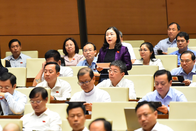 Đại biểu Đoàn Thị Hảo (đoàn Thái Nguyên).