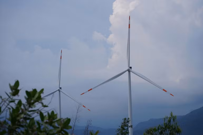 GS, TS Đặng Kim Chi, Phó Chủ tịch Hội Bảo vệ thiên nhiên và Môi trường Việt Nam cho rằng, các nhà máy điện gió hay điện mặt trời đã bộc lộ không ít những nhược điểm.