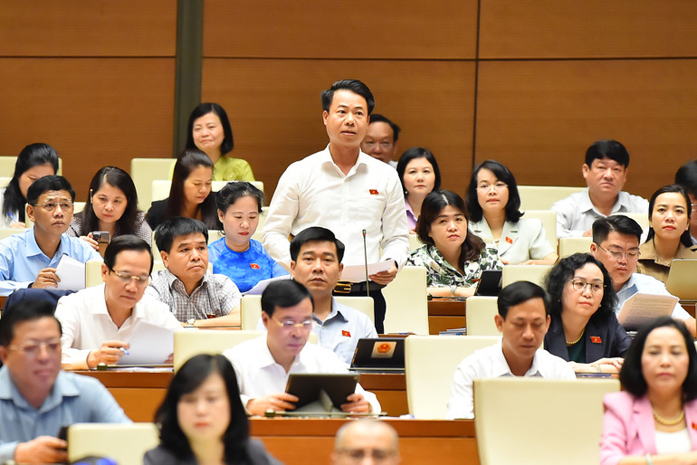 Đại biểu Hoàng Quốc Khánh phát biểu tại phiên họp sáng 29/5. (Ảnh: Thủy Nguyên)