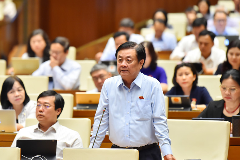 Bộ trưởng Nông nghiệp và Phát triển nông thôn Lê Minh Hoan trả lời chất vấn tại phiên làm việc sáng 4/6.