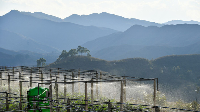 Ảnh minh họa. Ảnh minh họa.