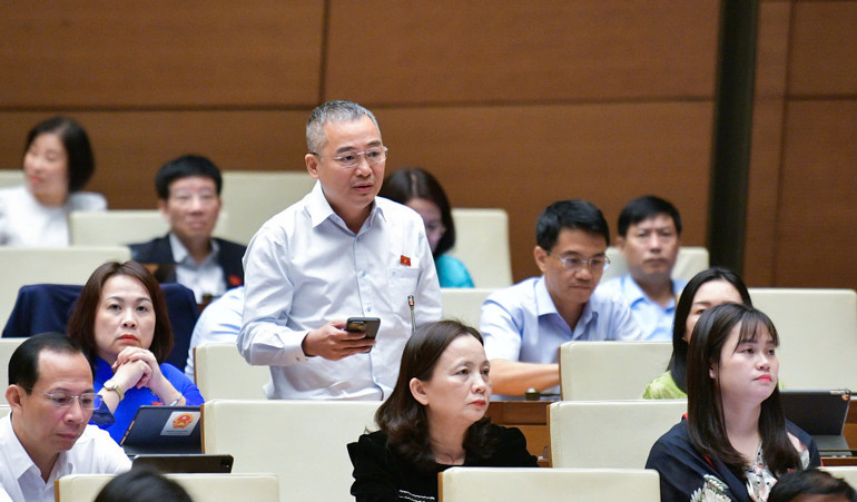 Đại biểu Nguyễn Lân Hiếu. Đại biểu Nguyễn Lân Hiếu.