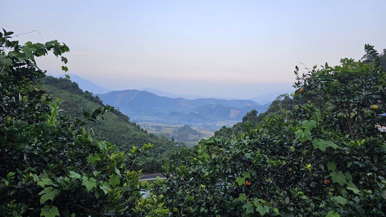 Một góc rừng Mahaxay.