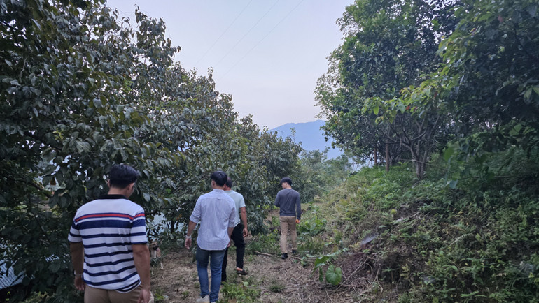 Điểm đặc biệt là Dự án áp dụng các công nghệ tiên tiến như AI và hệ thống thông tin địa lý (GIS) để quản lý và giám sát rừng một cách hiệu quả hơn.