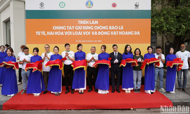 Cắt băng khai mạc Triển lãm chung tay giữ rừng chống bão lũ; tử tế, hài hòa với loài voi và động vật hoang dã.
