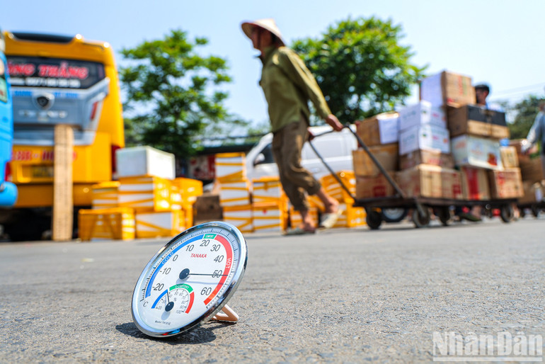 Nắng nóng đã làm đảo lộn cuộc sống của những người nghèo tại Hà Nội. (Ảnh: Thành Đạt)