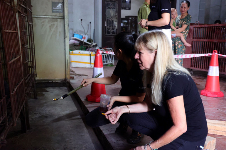 Các chuyên gia cho gấu ăn.