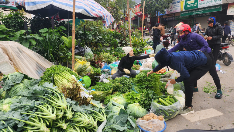 Ngoài bún, các tiểu thương còn bày bán thêm rau xanh, cây cảnh để lấy may.