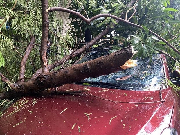 Phần kính chắn đầu xe bị hư hỏng nặng.