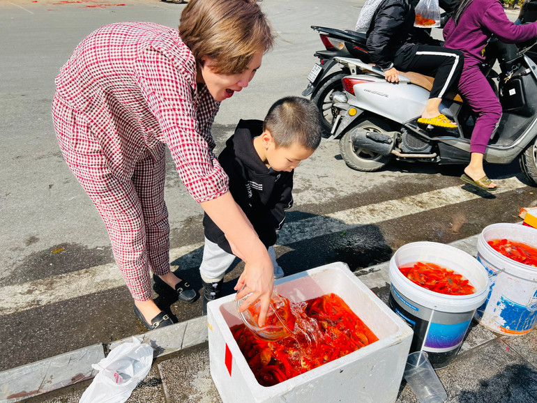 Mục đích của hoạt động này là nhằm giữ cho cá phóng sinh có cơ hội sống sót; đồng thời bảo đảm hồ Tây được sạch đẹp. Mục đích của hoạt động này là nhằm giữ cho cá phóng sinh có cơ hội sống sót; đồng thời bảo đảm hồ Tây được sạch đẹp.