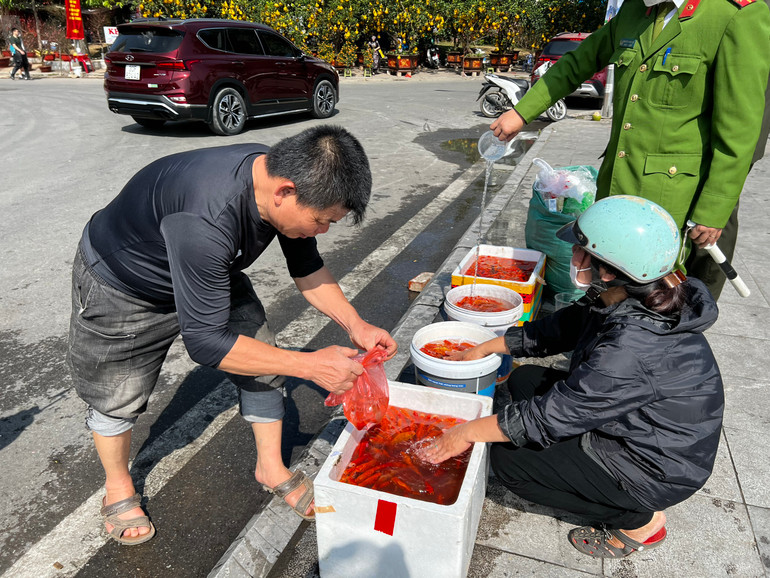 Người dân tới hồ Tây sẽ được hướng dẫn đưa cá vào các thùng đã chuẩn bị sẵn. Khi đầy, lực lượng công an sẽ chở cá đi phóng sinh ra sông Hồng gần đó. Người dân tới hồ Tây sẽ được hướng dẫn đưa cá vào các thùng đã chuẩn bị sẵn. Khi đầy, lực lượng công an sẽ chở cá đi phóng sinh ra sông Hồng gần đó.