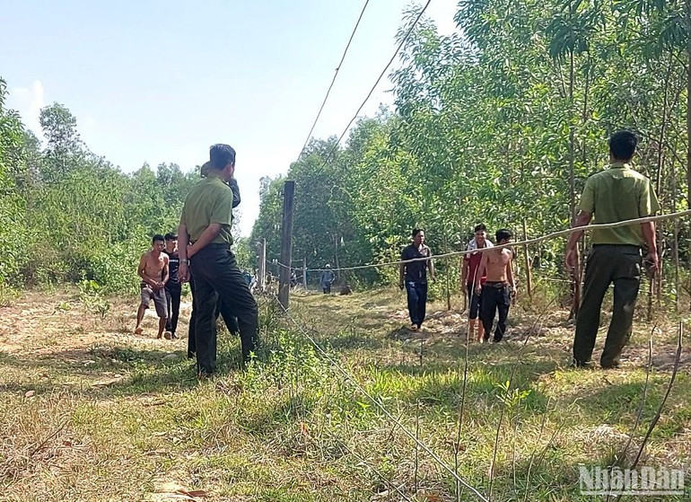 Lực lượng kiểm lâm xua đuổi voi vào lại rừng. Lực lượng kiểm lâm xua đuổi voi vào lại rừng.