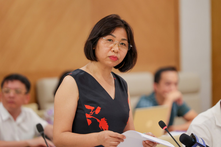 Bà Đỗ Hải Anh thông tin tới báo chí tại cuộc họp.