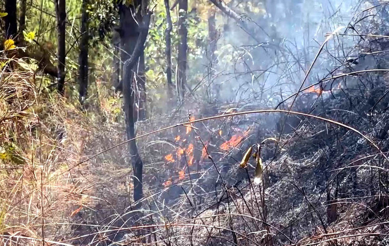 Một số vị trí phát sinh đám cháy nhỏ thực bì.
