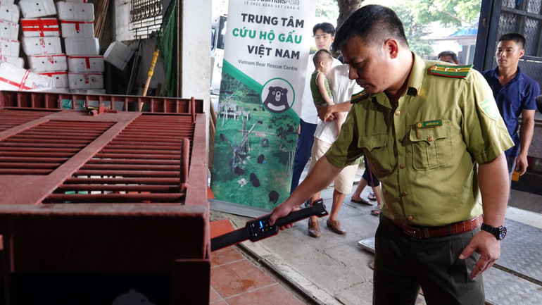 Chi cục Kiểm lâm Hà Nội kiểm tra chip đăng ký của gấu.