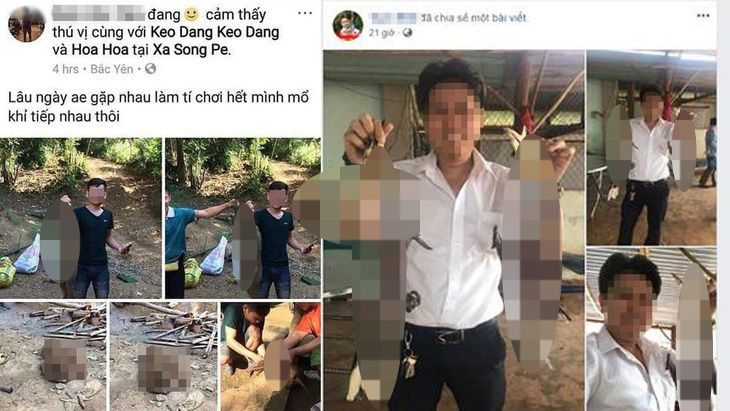 Một số vụ giết hại động vật hoang dã rồi khoe trên mạng xã hội từng gây xôn xao dư luận.