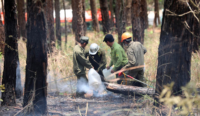 Do địa hình nơi xảy ra cháy khá phức tạp, lực lượng chữa cháy phải đưa từng can nước lên đỉnh đồi để dập lửa.