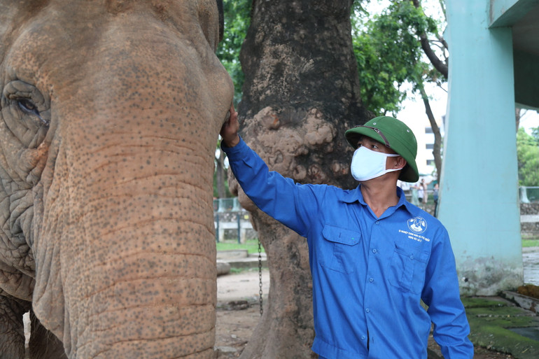 Cả hai chú voi tại Thủ Lệ đều đã có hơn 10 năm sinh sống gần con người. Do đó, trước đề xuất đưa voi về nhà, đại diện vườn thú Thủ Lệ cho rằng cần tính toán và cân nhắc rất nhiều yếu tố. Tuy nhiên, tới thời điểm hiện tại, phía Vườn thú vẫn chưa nhận được đề nghị chính thức.
