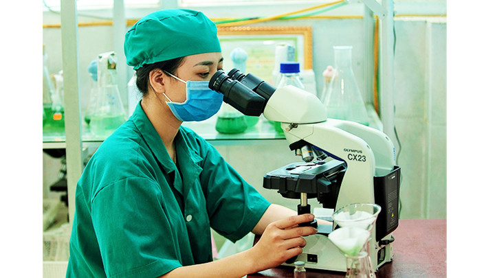 Kiểm tra mẫu giống tảo Spirulina. Kiểm tra mẫu giống tảo Spirulina.