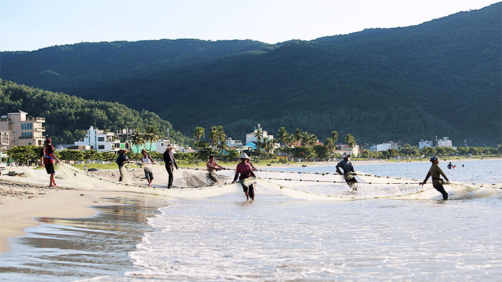 Chung sức kéo lưới rùng.