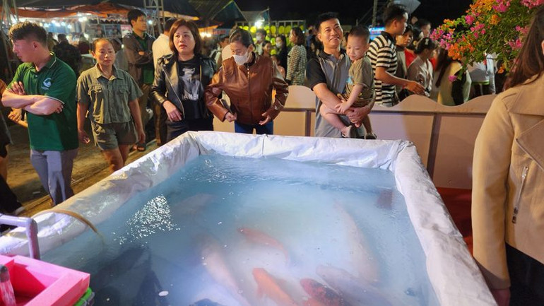 Đông đảo nhân dân thích thú với các loài cá sông Đà được trưng bày tại Lễ hội.