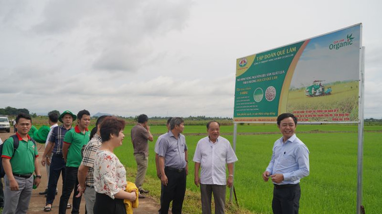 Tham quan mô hình canh tác lúa hữu cơ tại huyện Cẩm Mỹ, tỉnh Đồng Nai.