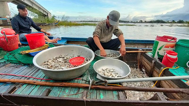 Mùa nước nổi giúp ngư dân có thu nhập ổn định từ đánh bắt thủy sản.