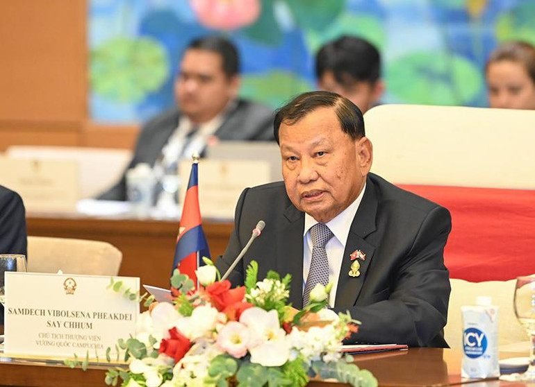 Chủ tịch Thượng viện Vương quốc Campuchia Samdech Say Chhum phát biểu tại buổi hội đàm.