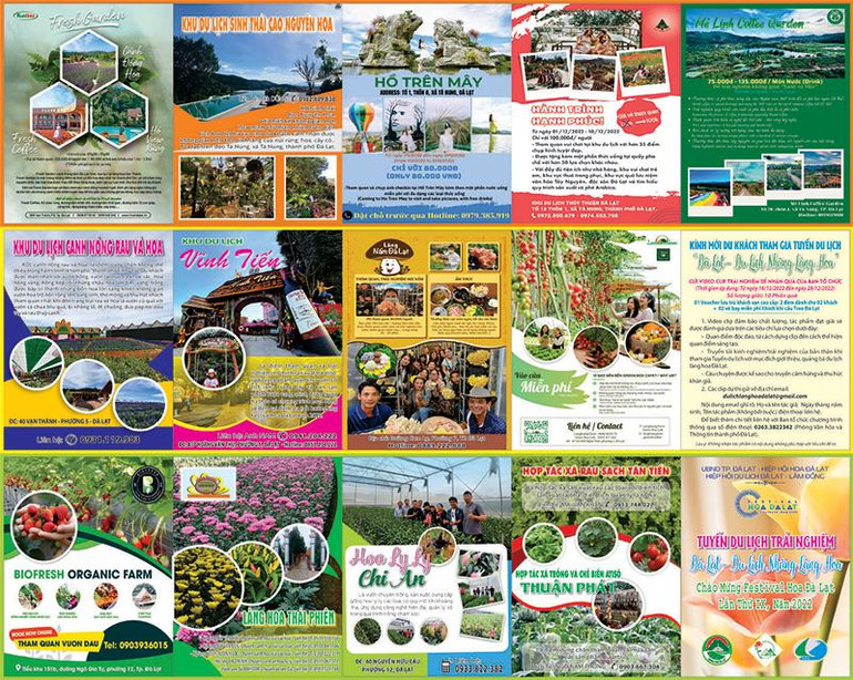 Một số điểm đến tại các làng hoa truyền thống Đà Lạt.