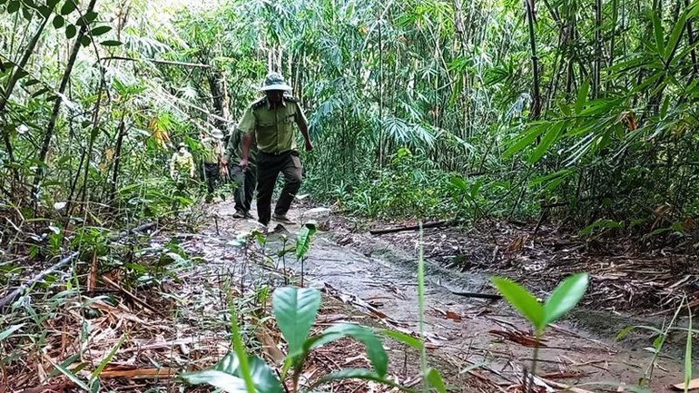 Nhân viên bảo vệ rừng ở Đắk Nông tiếp tục nghỉ việc do “mất phương hướng” ảnh 2